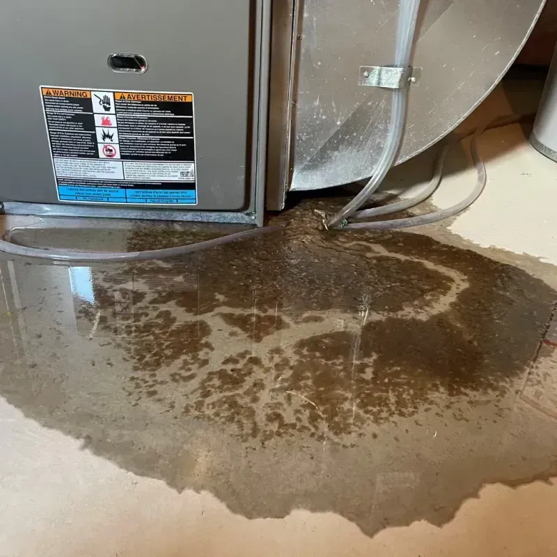 Appliance Leak Cleanup in Iberia Parish, LA